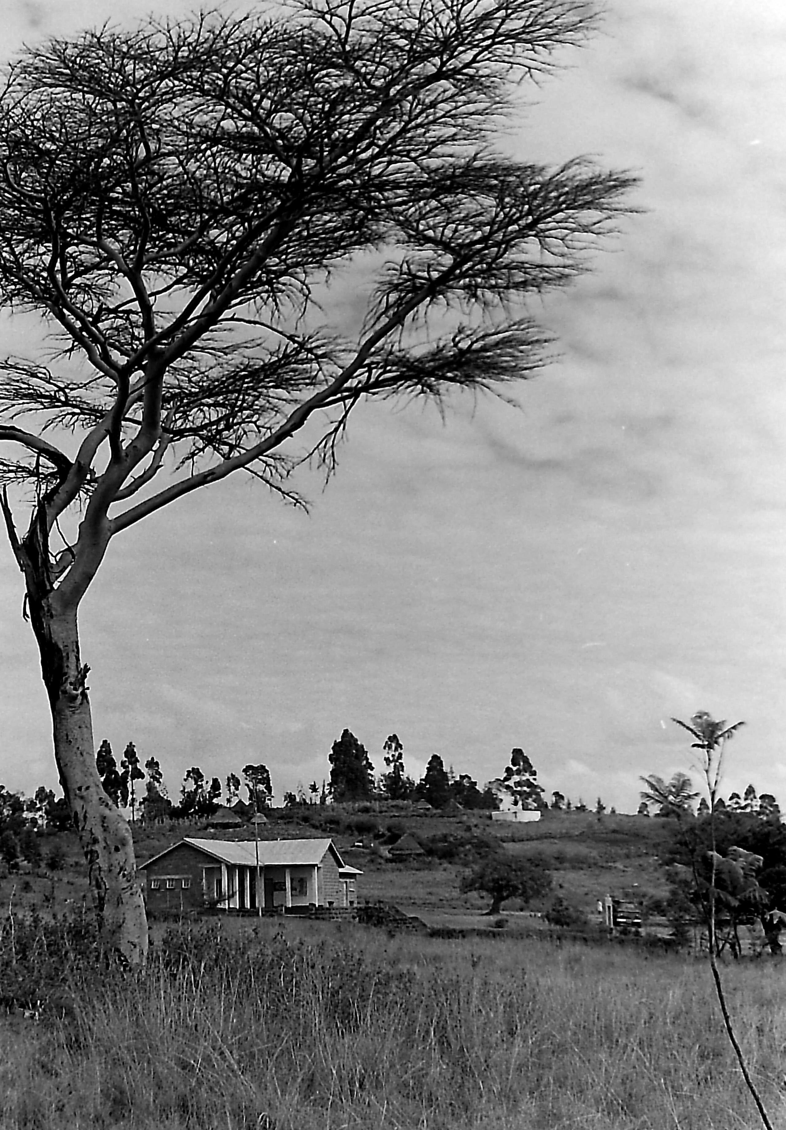DO-Bomet