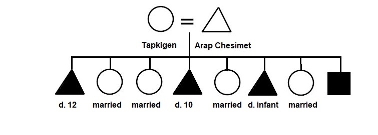 Chesimet1